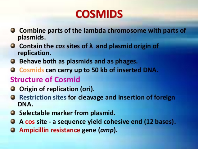 Difference Between Plasmid And Cosmid